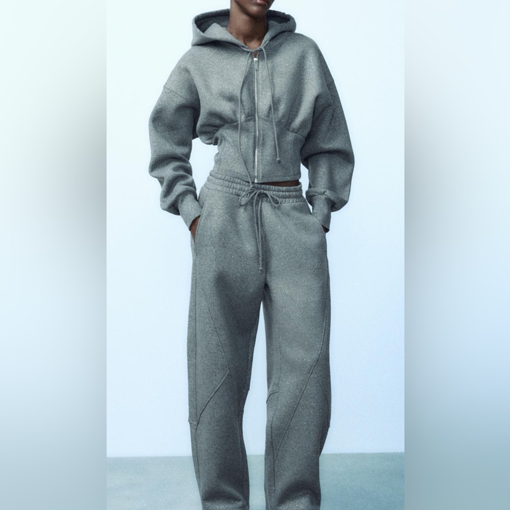 Gray Glitter Zipped Hoodie and pants. Zara. Worn ones.